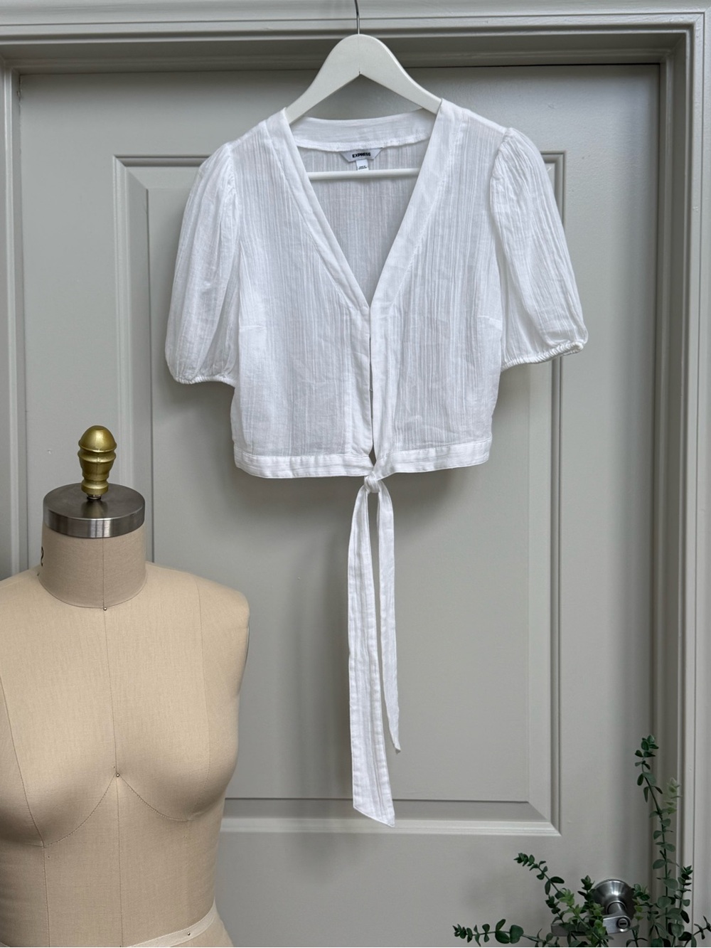 Express White Tie-Front Cropped Top